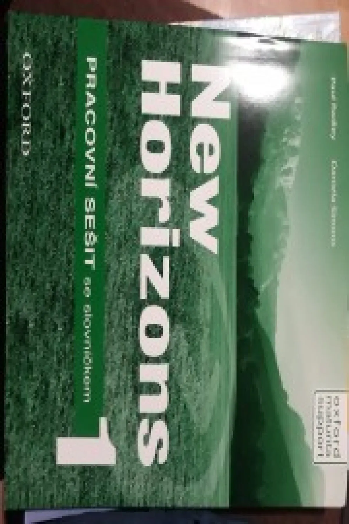 NEW Horizons 1 workbook